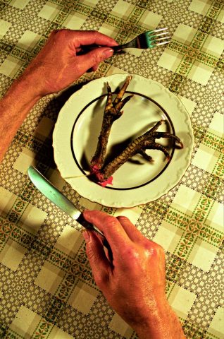 Hände, Teller mit Hühnerbeinen