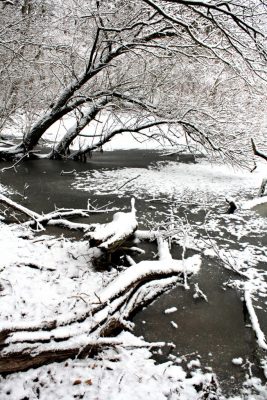 Winterlandschaft mit Eis und Schnee am Ufer