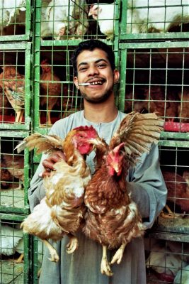 Mann mit Hühnern