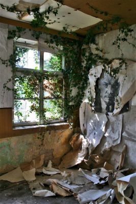 am Fenster